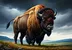 buffalo logo
