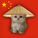 catwifdouli logo