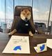 Ceo of Twitter logo
