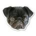 Pug Bibi  logo