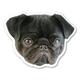 Pug Bibi  logo