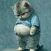 Jeetcat logo