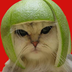LIMECAT logo