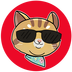 Ginnan the Cat logo