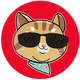 Ginnan the Cat logo