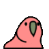 Silly bird logo