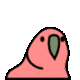 Silly bird logo
