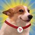SUNDOGE logo