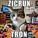 Zicruk Tron logo