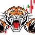 TIGERSUN logo