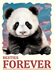 Best friend logo