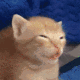 Temmie logo