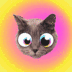 FUNCAT logo