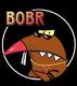 BOBR logo