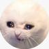 sadcat logo