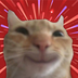 YAN CAT logo