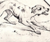 Van Gogh Real Dog logo