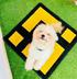 BINANCE DOG logo