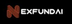 NexFundAI logo