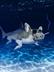 Puggerfish logo