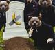 RIP BANANA logo
