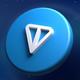 toncoin logo