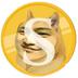 SunDoge logo