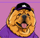 wrapped **** **** logo