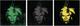 Andy Warhol logo
