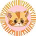 SUN CAT logo