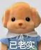 POODLE  logo