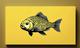 $CARP logo