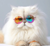 Lionel Messi's CAT logo