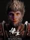 VIT WUKONG logo