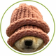 DOGWIF2HATS logo