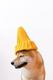 Binance dog logo
