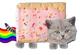 POP CATART logo