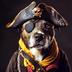 PIRATEDOG logo