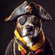 PIRATEDOG logo