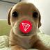 TRON BILLY logo