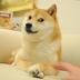 DOGE logo