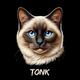 Tonkinese Cat logo