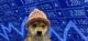 DOGWif logo