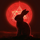Sun Rabbit logo