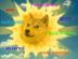 sun dogs wife  logo