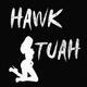 Hawk Tuah logo
