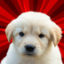 ROB DOG logo