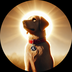 SUNDOG AGAIN logo