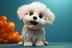 Sweetydog logo