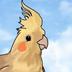 BIRDO logo